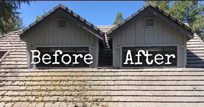 Before and after of a moss covered roof cleared back to bare shingle