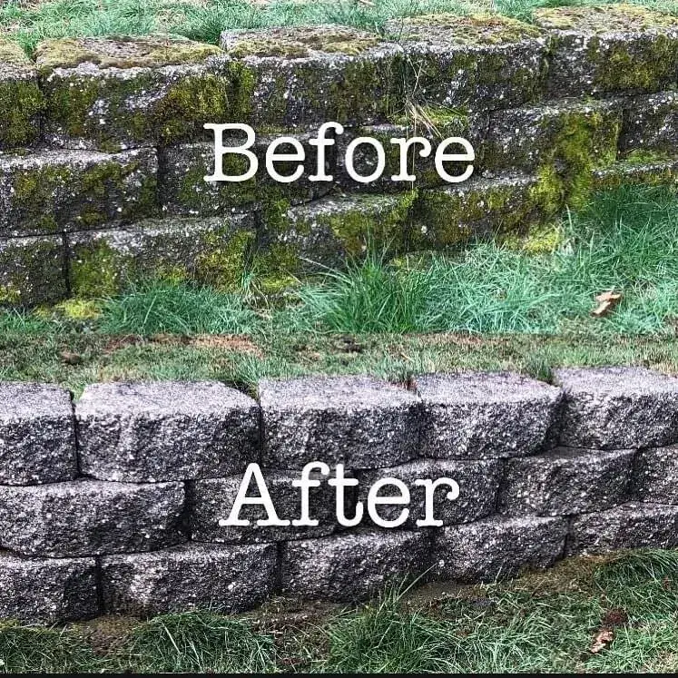 Garden stone patio cleaned back to bare stone after pressure washing